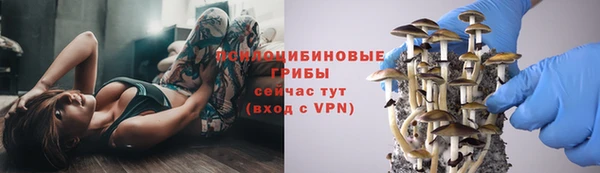 бутират Алексин