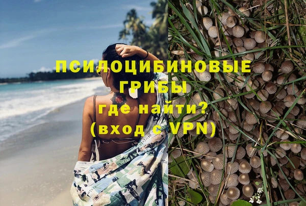 гидра Пролетарск