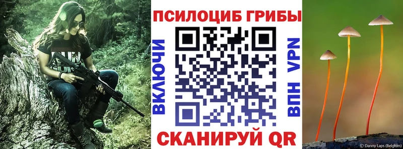 где купить наркоту  Карачаевск  Галлюциногенные грибы MAGIC MUSHROOMS 