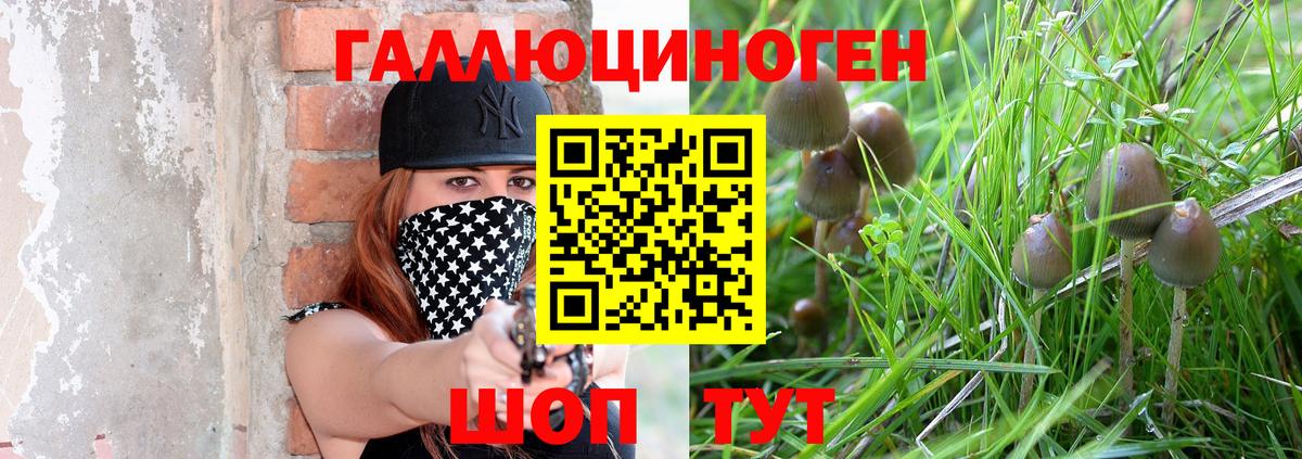 Галлюциногенные грибы прущие грибы  Псилоцибиновые грибы Psilocybe  Вход с VPN  Карачаевск 
