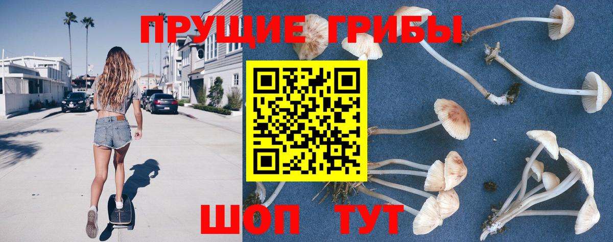 Галлюциногенные грибы GOLDEN TEACHER Карачаевск