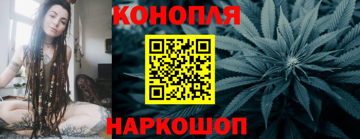 Каннабис планчик Карачаевск